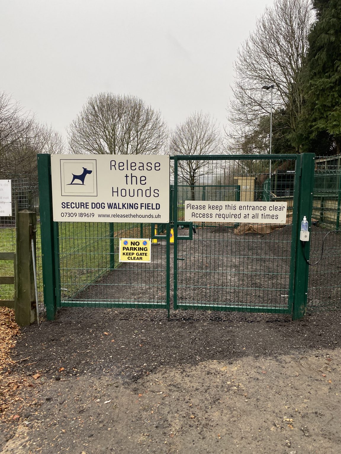 Gallery Release the Hounds